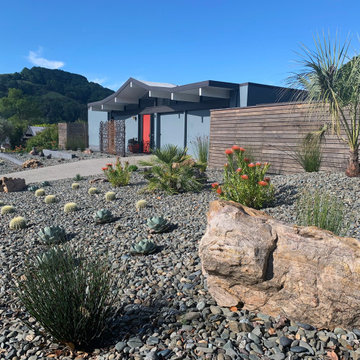 San Rafael Eichler - Mid-Century Modern Back & Front Landscape Remodel