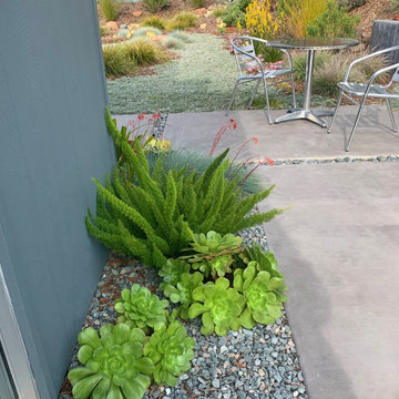 San Rafael Eichler - Mid-Century Modern Back & Front Landscape Remodel