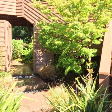 San Rafael Hillside renovation