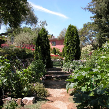 San Rafael Mediterranean garden