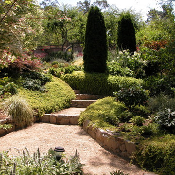 San Rafael Mediterranean garden