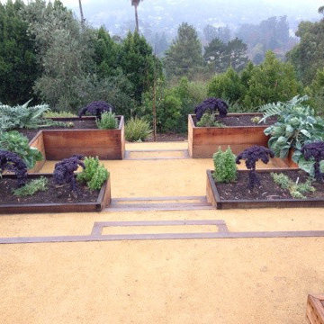 San Rafael Raised Beds and More