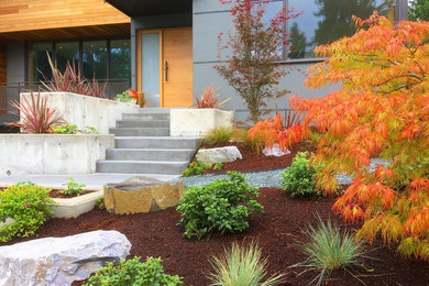 This is an example of a contemporary front yard landscaping in Seattle.