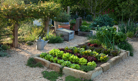 What’s Growing in Your Edible Garden?