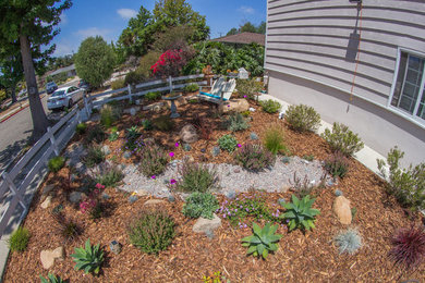 Design ideas for a mid-sized eclectic drought-tolerant front yard mulch landscaping in Santa Barbara.