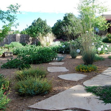 Santa Fe Permaculture/ Xeric Garden