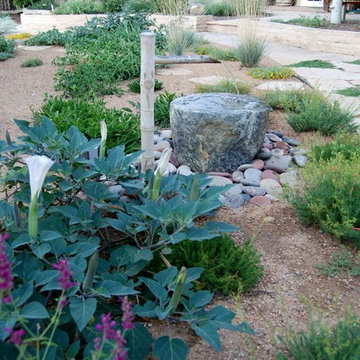 Santa Fe Permaculture/ Xeric Garden