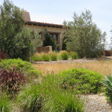 Santa Luz California Ranch