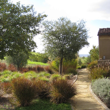 Santa Luz California Ranch
