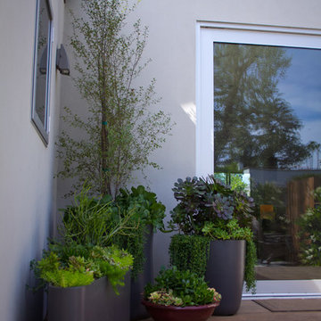 Santa Monica Exterior Remodel