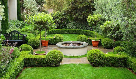 8 Ways Evergreens Can Provide Structure in the Landscape