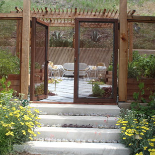 Idee per un giardino country esposto in pieno sole dietro casa in estate con un ingresso o sentiero