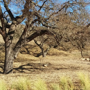 Santa Ynez Ranch