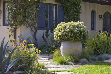 Foto di un giardino mediterraneo con un giardino in vaso e passi giapponesi
