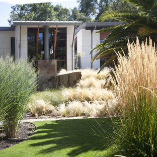 Inspiration for a contemporary full sun landscaping in San Francisco.