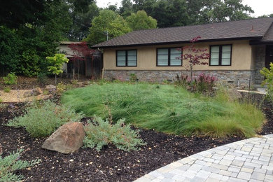 Photo of a large front yard landscaping in San Francisco.