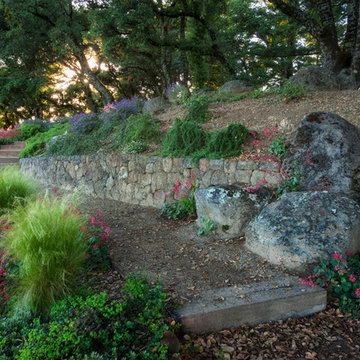 Saratoga Skyline Ridge Landscape