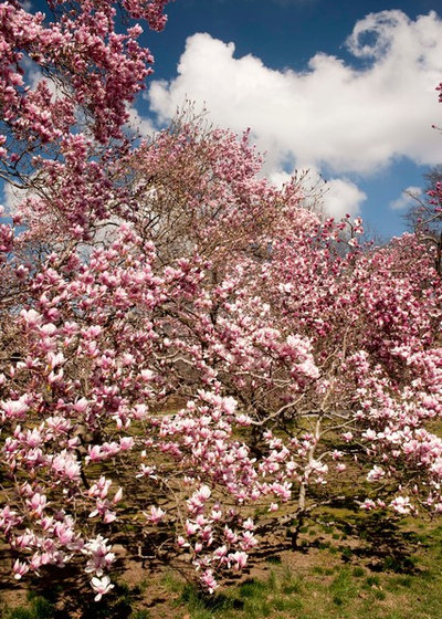 Garten by The New York Botanical Garden