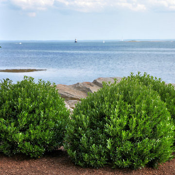 Saugatuck Shores Landscape