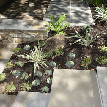 Sausalito Front Landscape Remodel With Bluestone Stairs & Patio