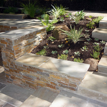 Sausalito Landscape Remodel With Full Color Bluestone Stone Patio and Stairs