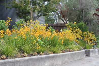 This is an example of a small coastal drought-tolerant and full sun front yard landscaping in San Francisco.