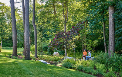 Backyard of the Week: Woodland Garden With Scandinavian Roots
