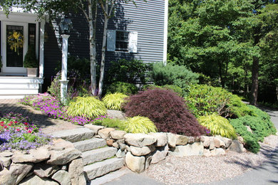 This is an example of a transitional landscaping in Boston.