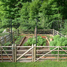 Vegetable Garden