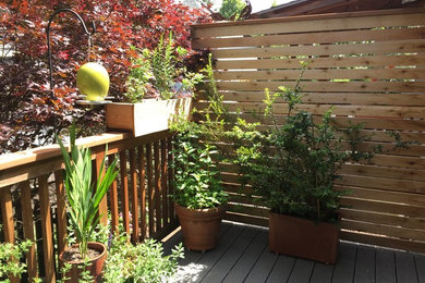 Идея дизайна: маленький солнечный участок и сад на заднем дворе с растениями в контейнерах, хорошей освещенностью и настилом для на участке и в саду