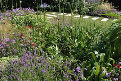 This is an example of a modern garden in Cornwall.