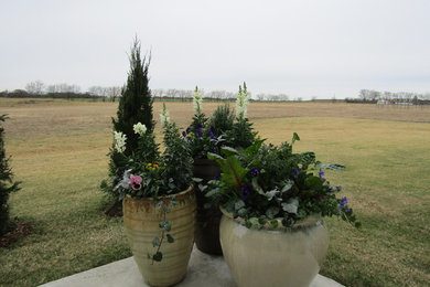 Inspiration for a full sun side yard landscaping in Dallas for winter.