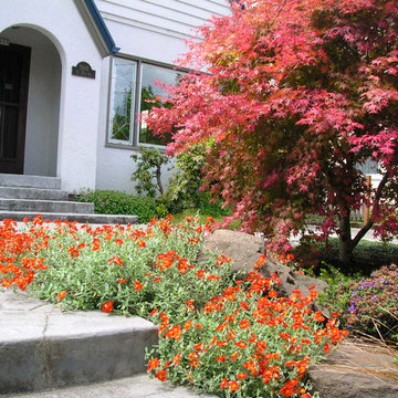 Seasonal Color Gardens