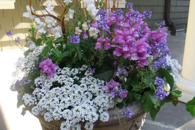 На фото: маленький весенний участок и сад в классическом стиле с растениями в контейнерах и полуденной тенью для на участке и в саду
