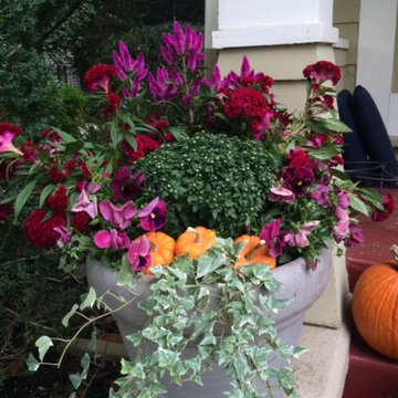 Seasonal Color Installations