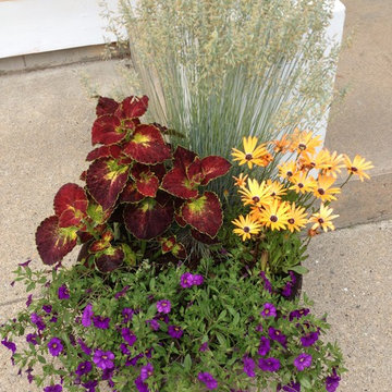 Seasonal Container Plantings & Changeovers