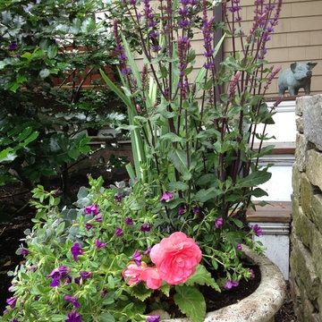 Seasonal Container Plantings & Changeovers