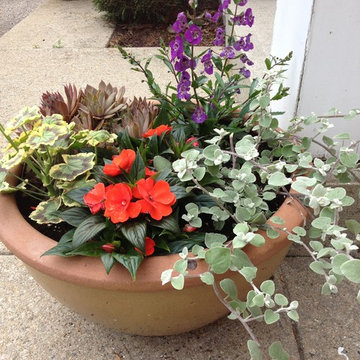 Seasonal Container Plantings & Changeovers