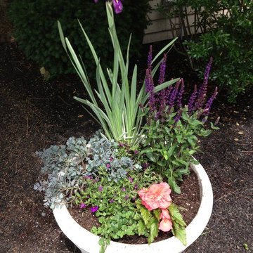 Seasonal Container Plantings & Changeovers
