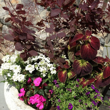 Seasonal Container Plantings & Changeovers