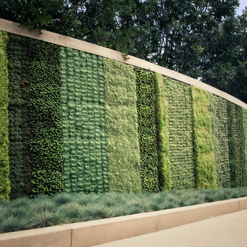 Seasons Living Wall Beverly Hills