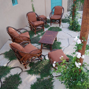 Seating Area with Thyme by Santa Fe Permaculture