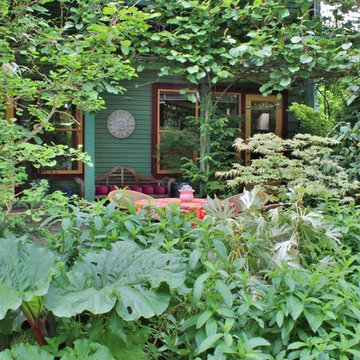 Seattle Organic Garden