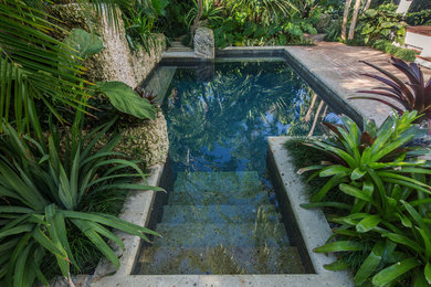 Foto di un giardino tropicale esposto in pieno sole di medie dimensioni e nel cortile laterale con pavimentazioni in mattoni