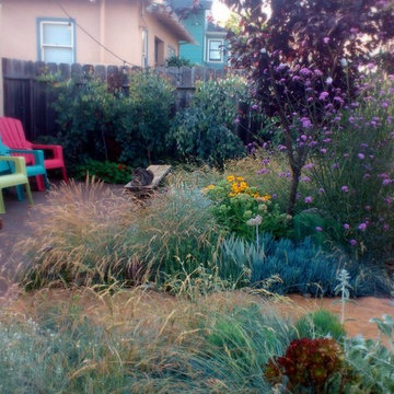 Secret garden in Berkeley