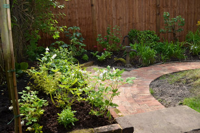 Small classic back fully shaded garden for summer in Surrey.