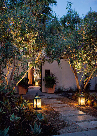 Mediterranean Garden by Zeterre Landscape Architecture