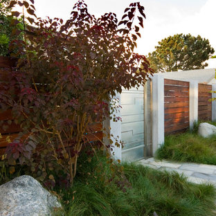 Idee per un giardino minimalista davanti casa