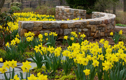10 Beautiful Ways to Landscape With Bulbs