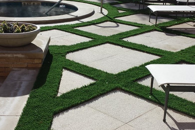 This is an example of a contemporary landscaping in Dallas.